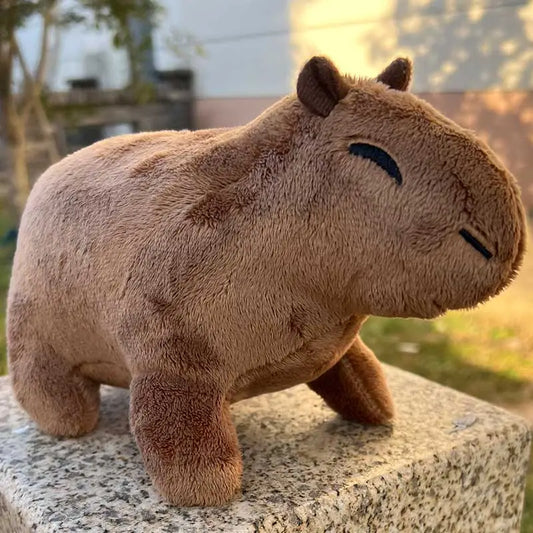 Capybara Plush